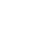 Lotto Icon