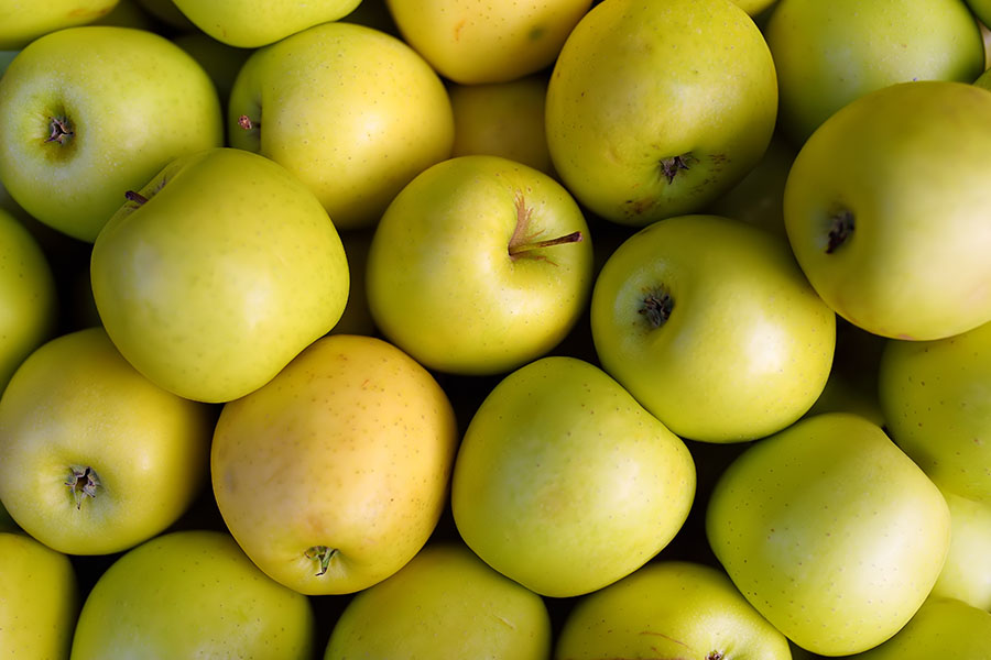 Nahaufnahme vieler grüner Äpfel.